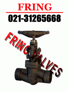 �M�ڸ߉���ֹ�y