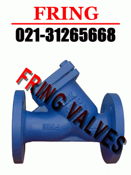 �M���^�V��